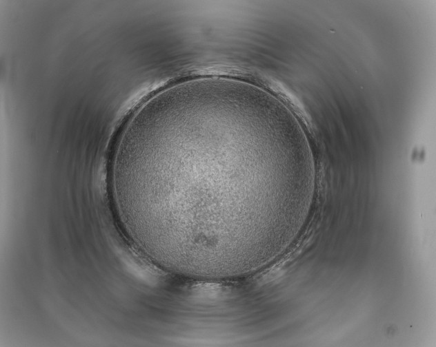 X0000091210298200708091352