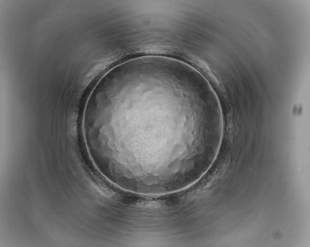 X0000091210299200708091352