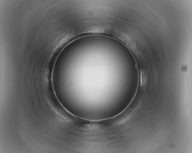 X0000091210300200708091352