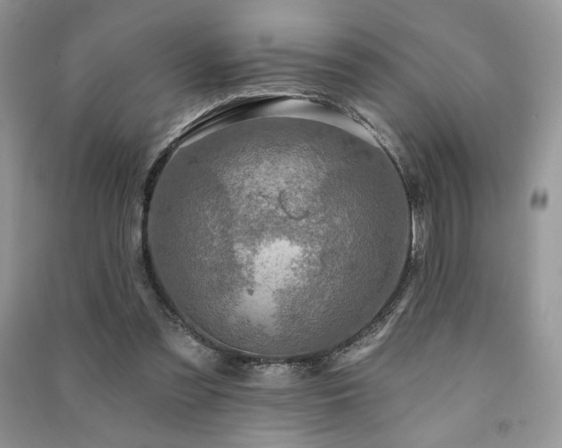 X0000091210301200708091352