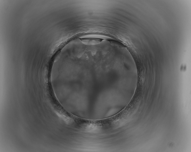 X0000091210303200708091352