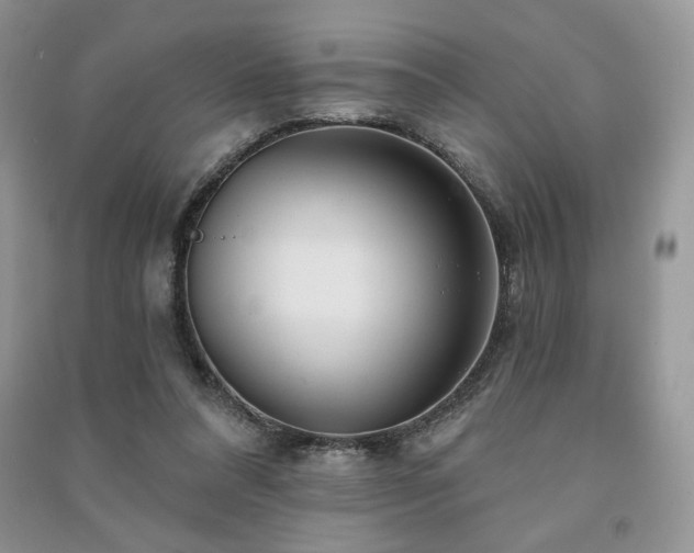 X0000091210304200708091352