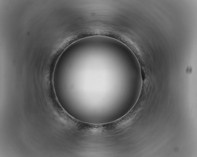 X0000091210306200708091352