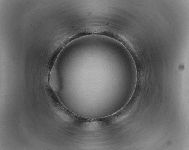 X0000091210307200708091352