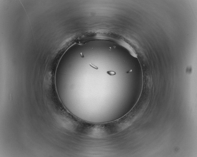 X0000091210308200708091352