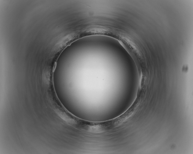 X0000091210309200708091352