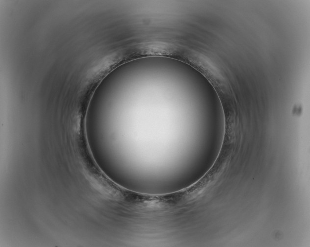 X0000091210310200708091352