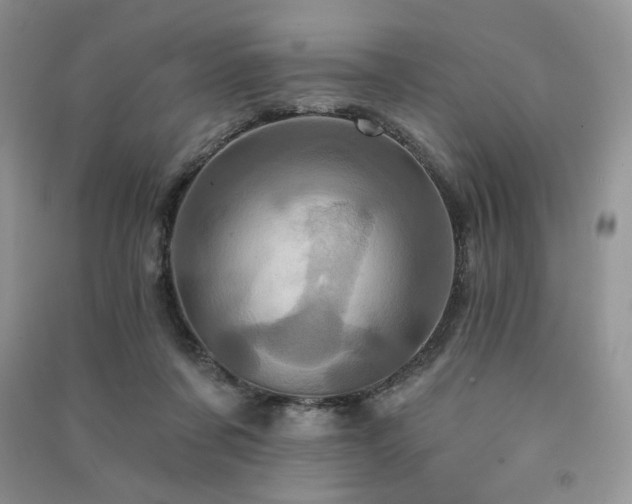 X0000091210311200708091352