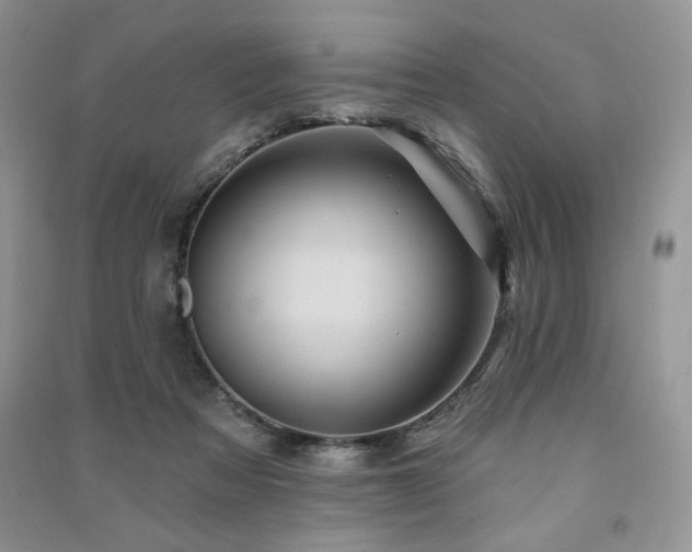 X0000091210313200708091352