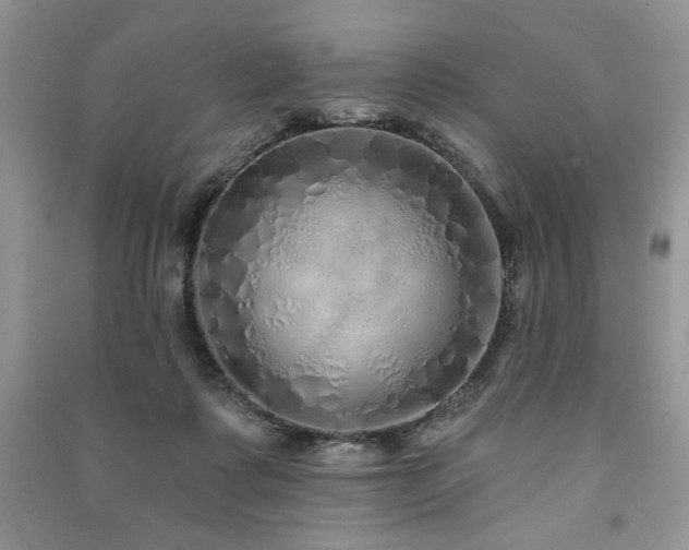X0000091210315200708091352
