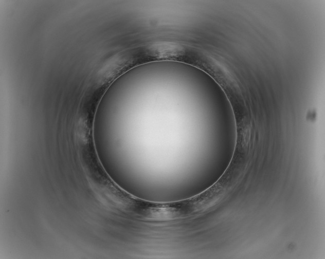 X0000091210316200708091352