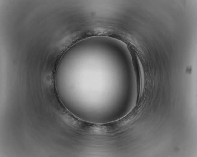 X0000091210317200708091352