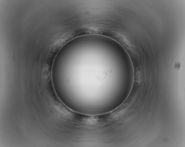 X0000091210318200708091352