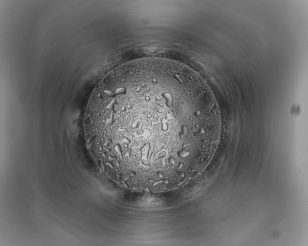 X0000091210319200708091352