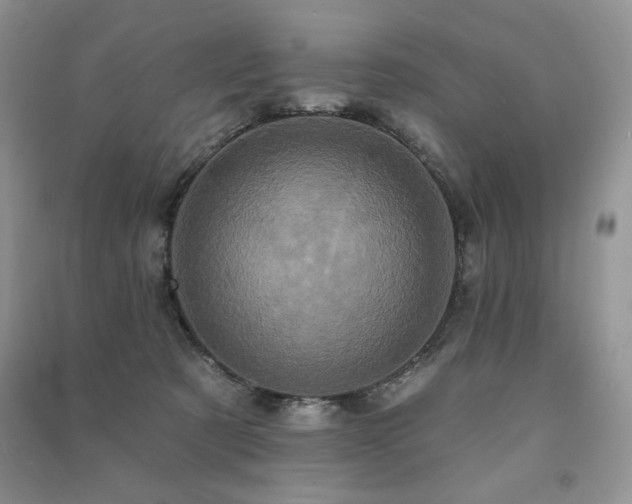 X0000091210321200708091352