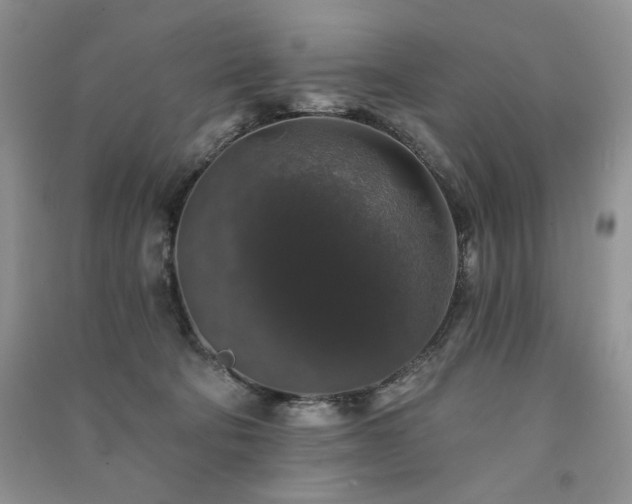 X0000091210322200708091352