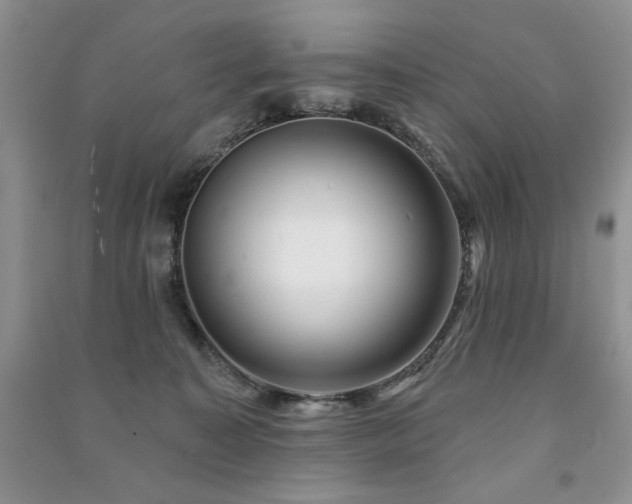 X0000091210323200708091352