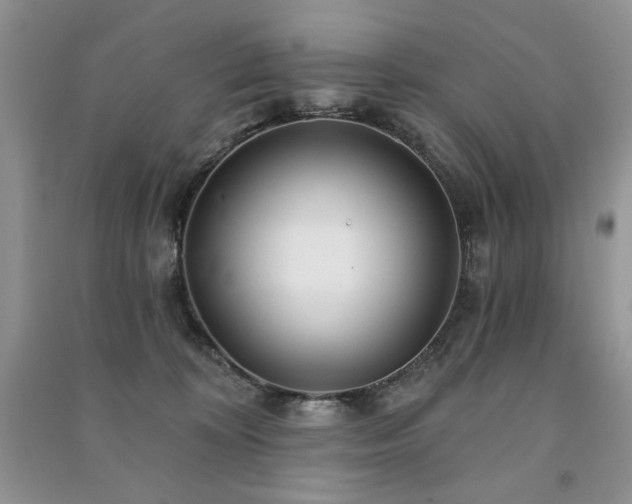 X0000091210324200708091352