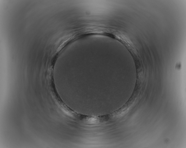 X0000091210325200708091352