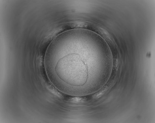 X0000091210326200708091352