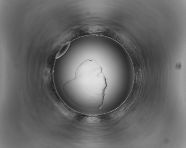 X0000091210327200708091352
