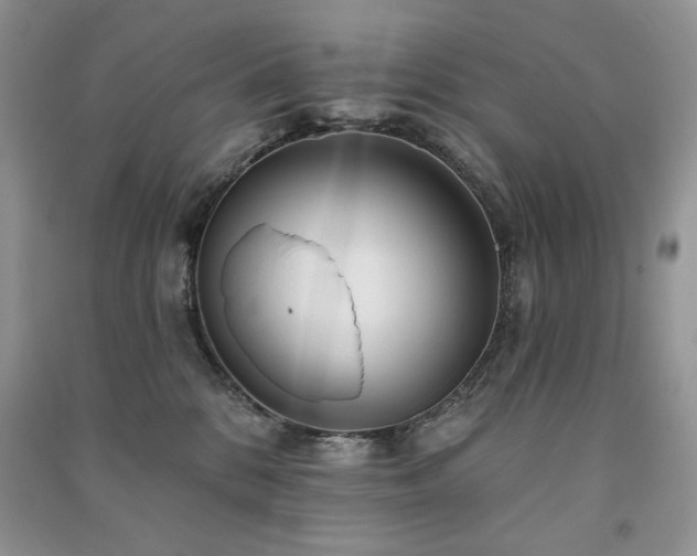 X0000091210328200708091352