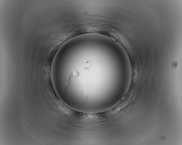 X0000091210329200708091352