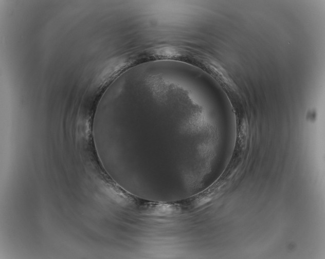 X0000091210330200708091352