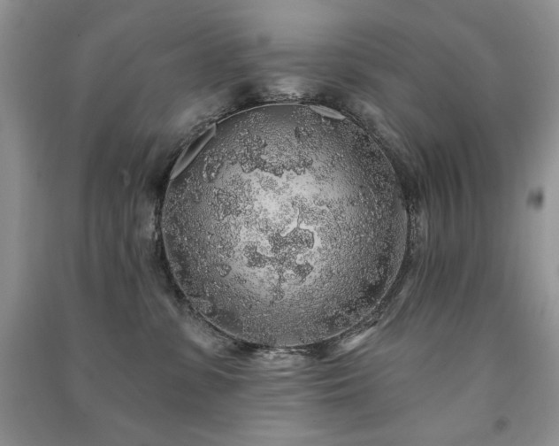 X0000091210331200708091352