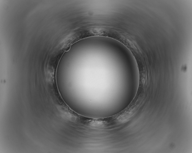 X0000091210332200708091352