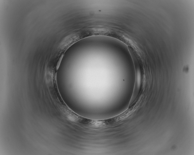 X0000091210333200708091352