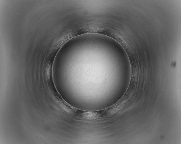 X0000091210334200708091352