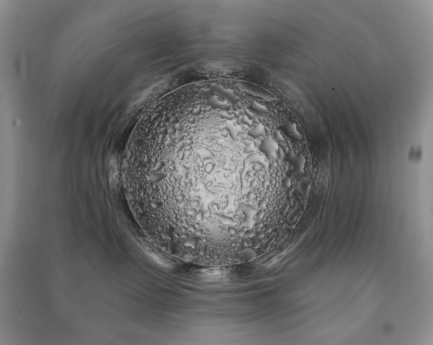 X0000091210335200708091352
