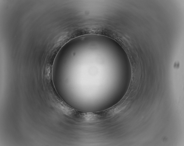 X0000091210336200708091352