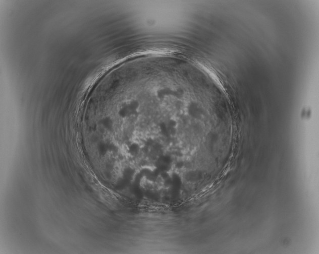 X0000091210337200708091351