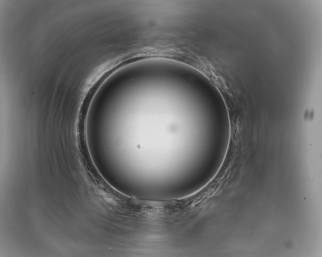 X0000091210340200708091351