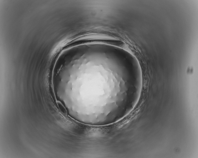 X0000091210341200708091351