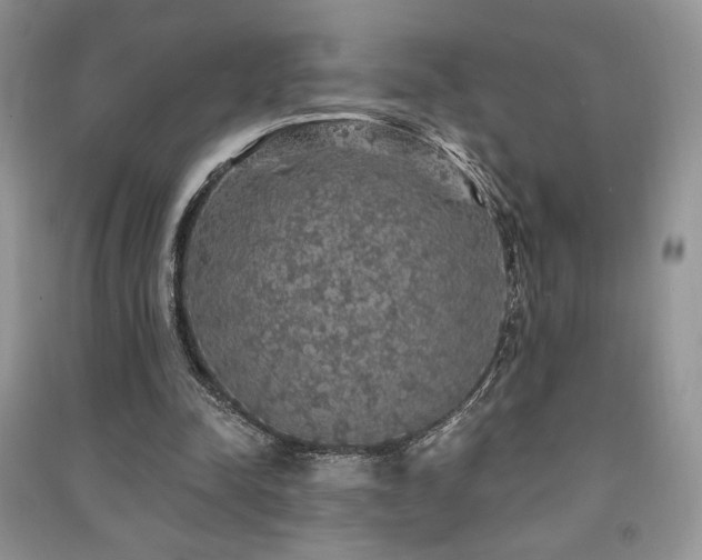 X0000091210342200708091351