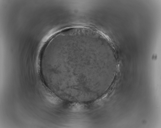 X0000091210343200708091351