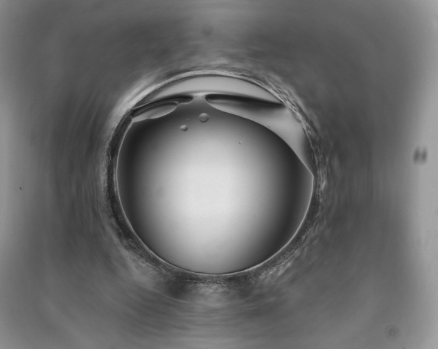 X0000091210344200708091351