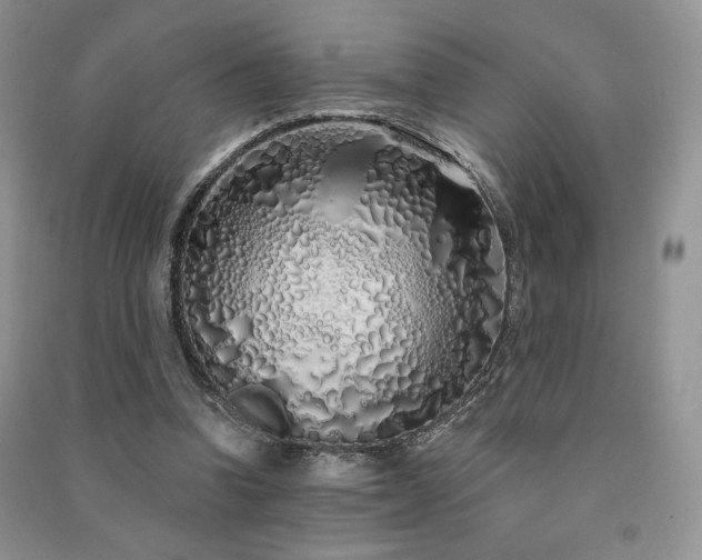 X0000091210346200708091352