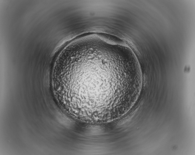 X0000091210349200708091352