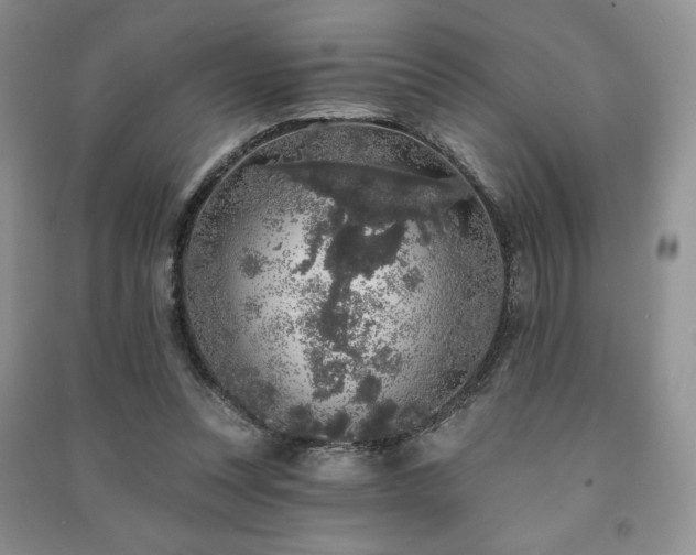 X0000091210351200708091352