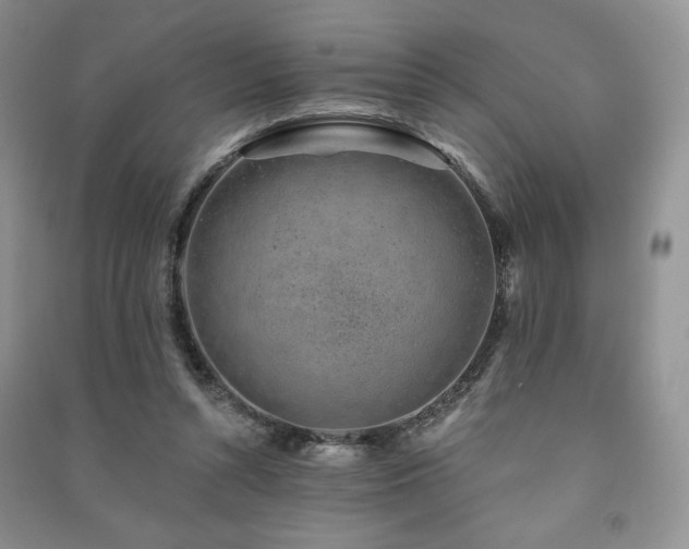X0000091210352200708091352