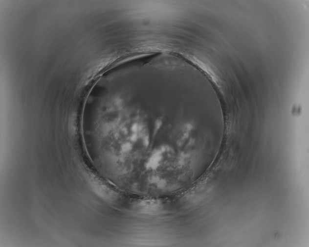 X0000091210353200708091352