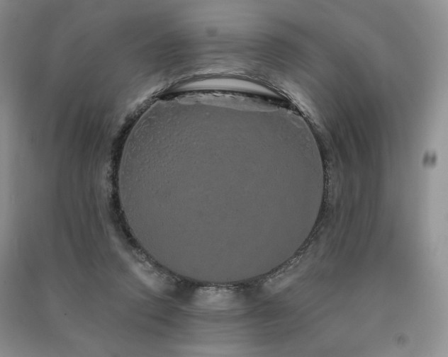 X0000091210354200708091352