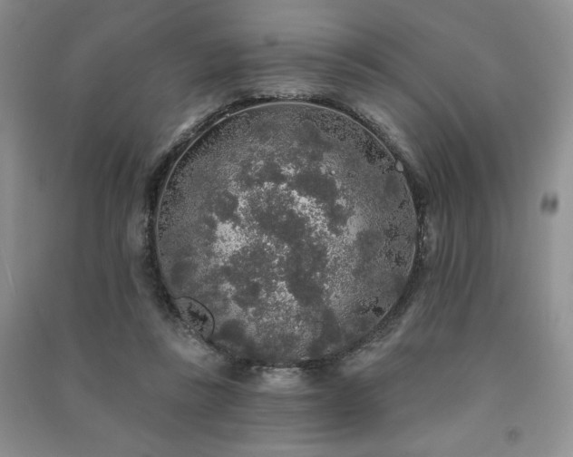 X0000091210355200708091352