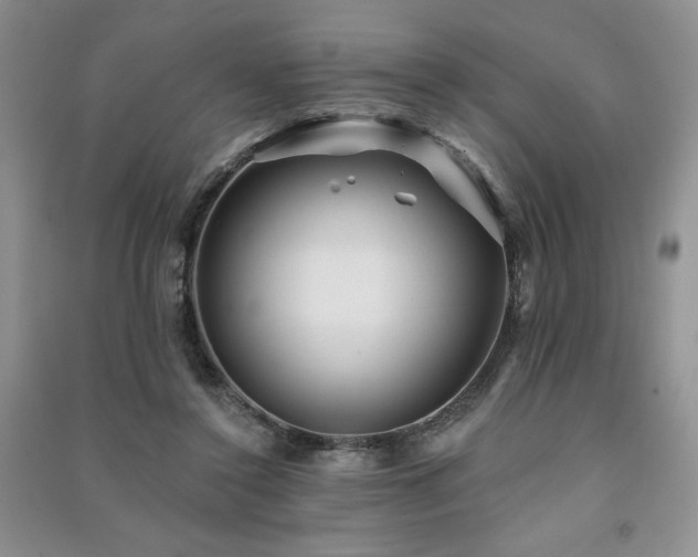 X0000091210356200708091352