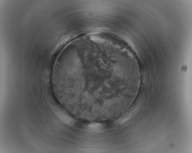 X0000091210357200708091352