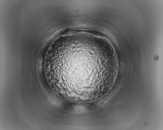 X0000091210358200708091352